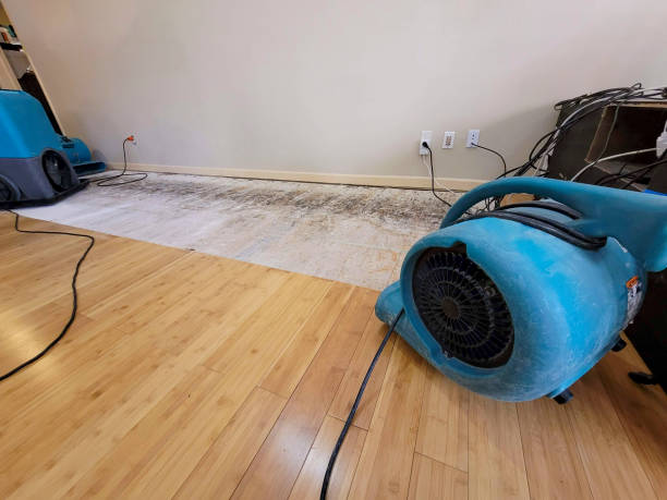Professional Sewage Cleanup technician working in South Richmond Hill, NY